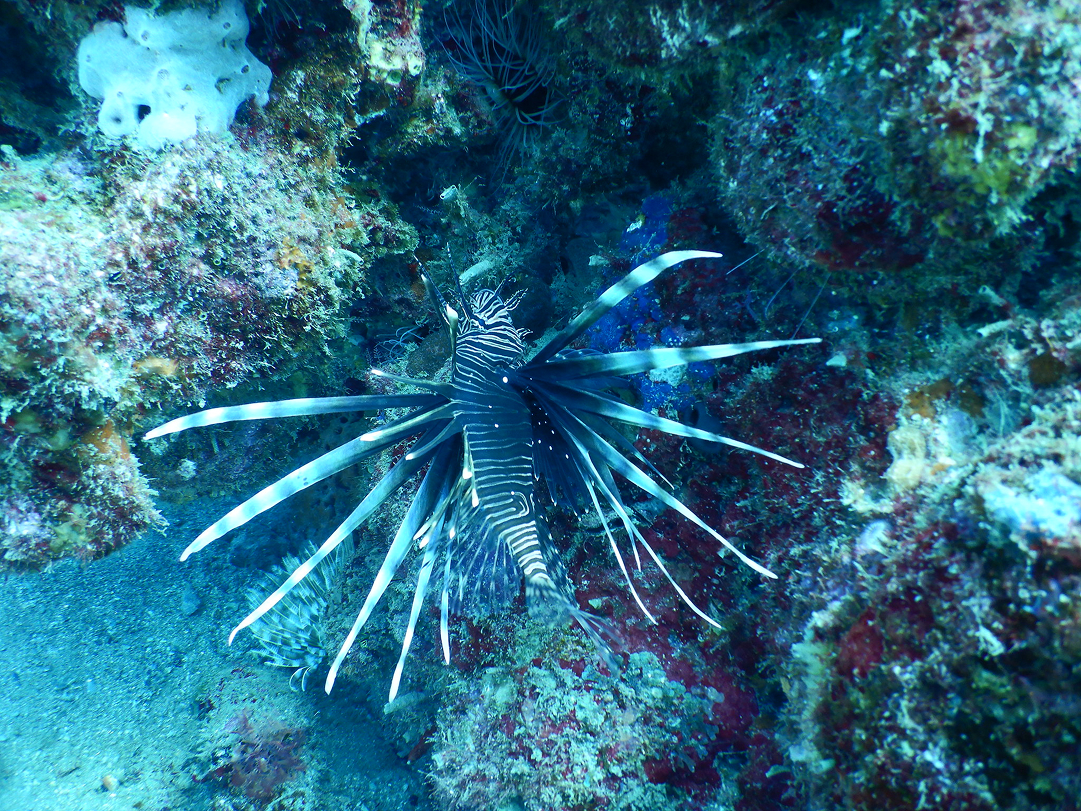 Experiencia y Confianza