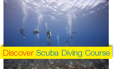 Discover-Scuba-Diving-Course