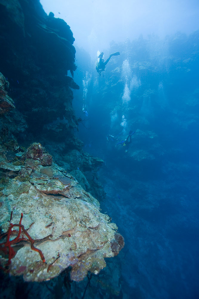 Advanced Open Water Diver (Reserva) - image advanced-open-water-diver on https://oceanoscuba.com.co