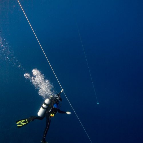 Minicurso (Bautizo) - image deep-diver-500x500 on https://oceanoscuba.com.co