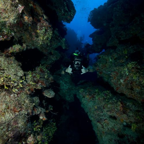 Buzo de Aire enriquecido (Nitrox Diver) - image peak-performance-bouyancy-500x500 on https://oceanoscuba.com.co