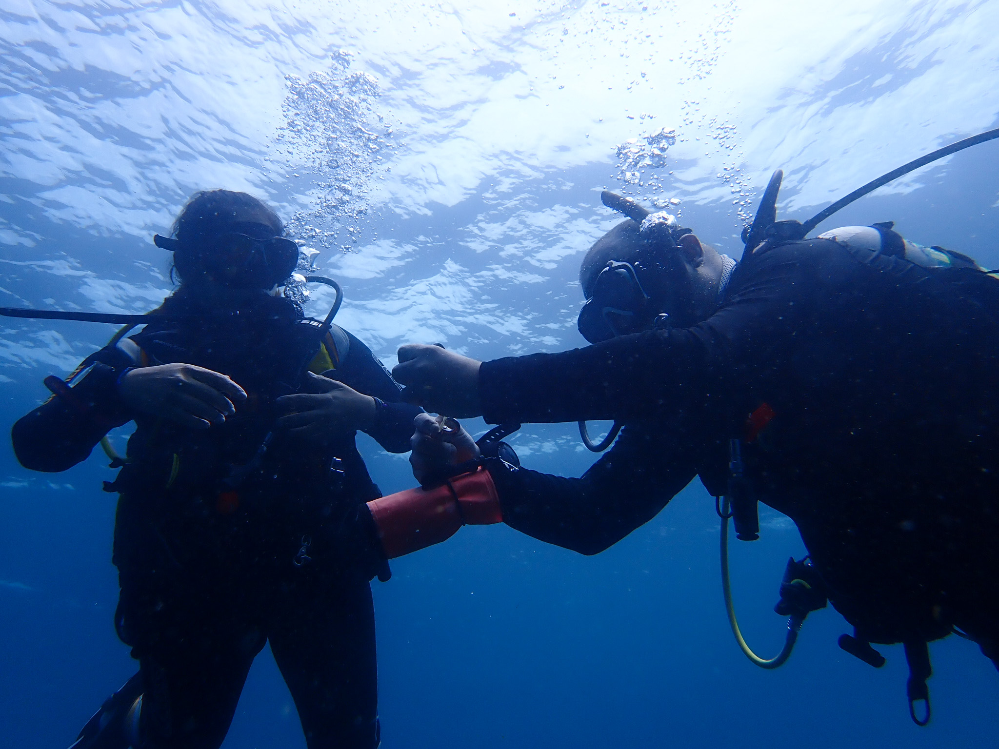 - PADI SEARCH AND RECOVERY DIVER - image Busqueda-y-recuperacion on https://oceanoscuba.com.co