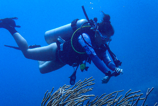 - FUN DIVE OCEANO SCUBA - image Fun-Dive-03 on https://oceanoscuba.com.co