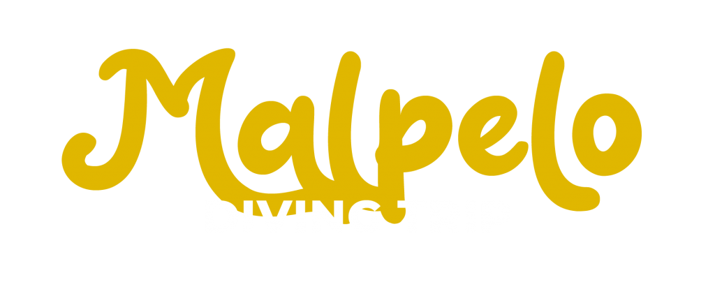 Malpelo Diving Trip 2023 - image STICKERS-MALPELO-2023Mesa-de-trabajo-4-copia-7-8-1024x414 on https://oceanoscuba.com.co