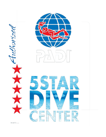 SOMOS OCEANO SCUBA DIVE CENTER - image oceano-pruebas-02-1 on https://oceanoscuba.com.co